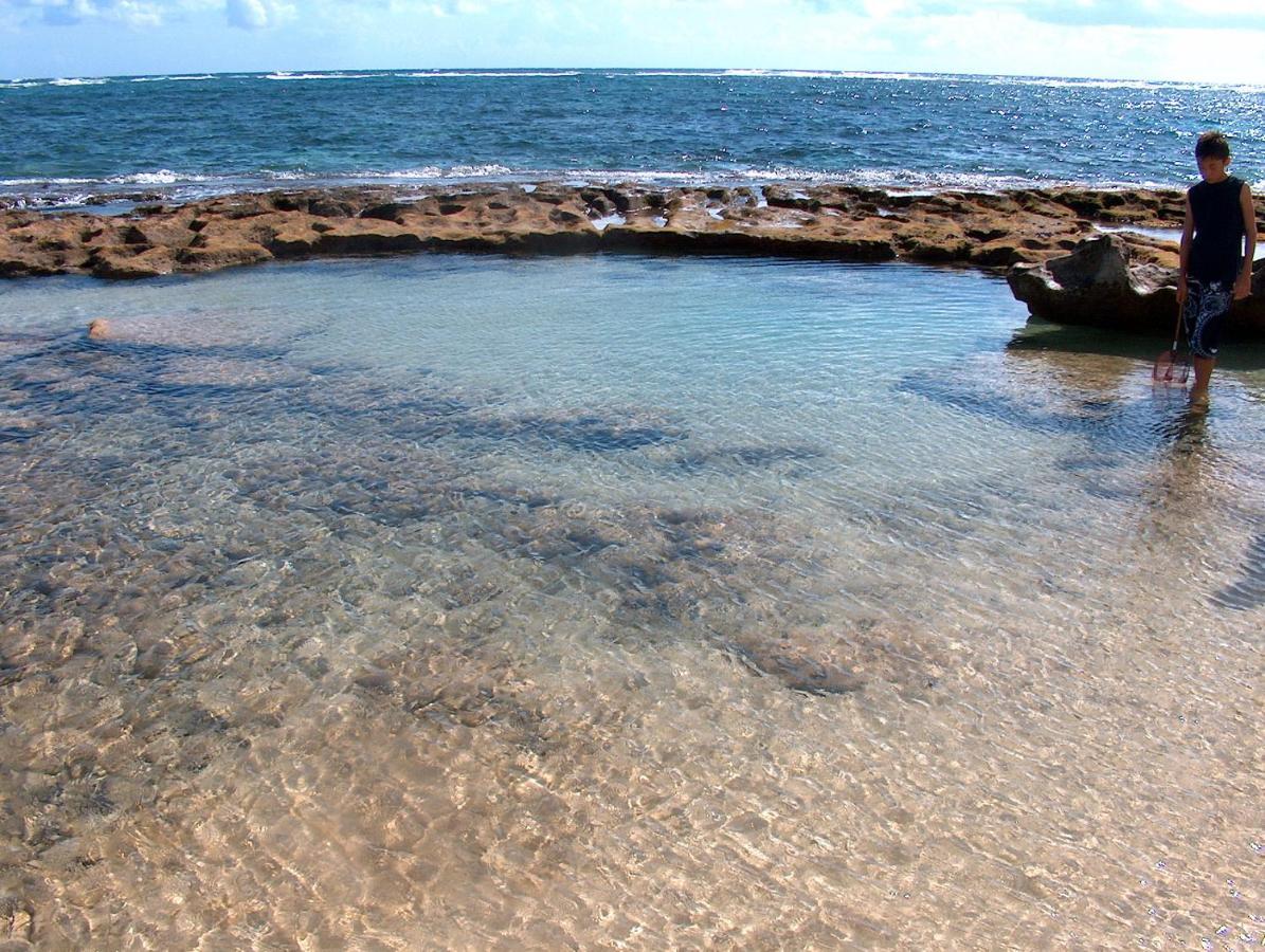 הוילה Hau'ula Itʻs All About The Beach מראה חיצוני תמונה